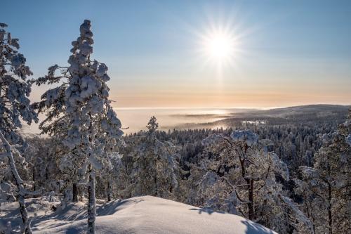 Finland populaire wintersportbestemming onder Nederlanders