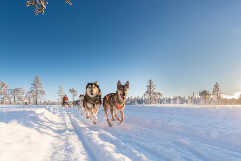 Teaser image for Wintersport of winterzon? Waar gaan de Nederlanders heen deze voorjaarsvakantie