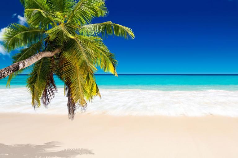 Teaser image for Dit zijn de favoriete vakantiebestemmingen voor zomer 2024